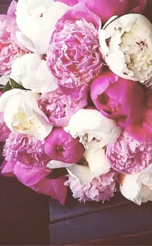 Peonies in the car