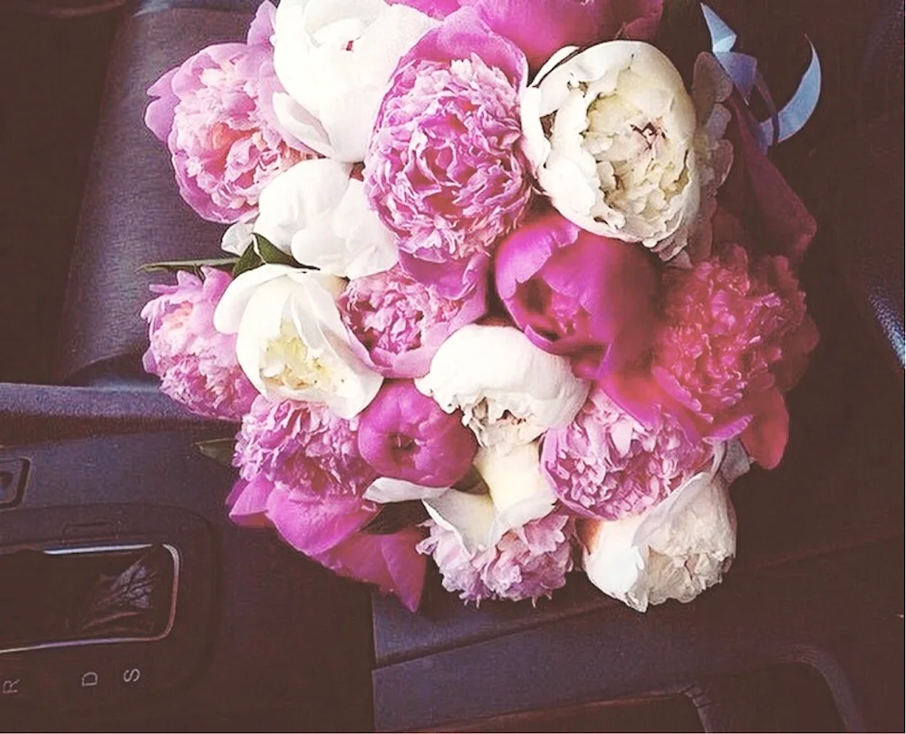 Peonies in the car