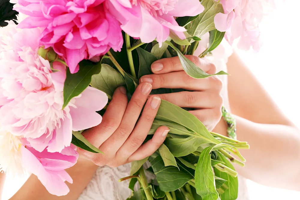 Peonies in hands