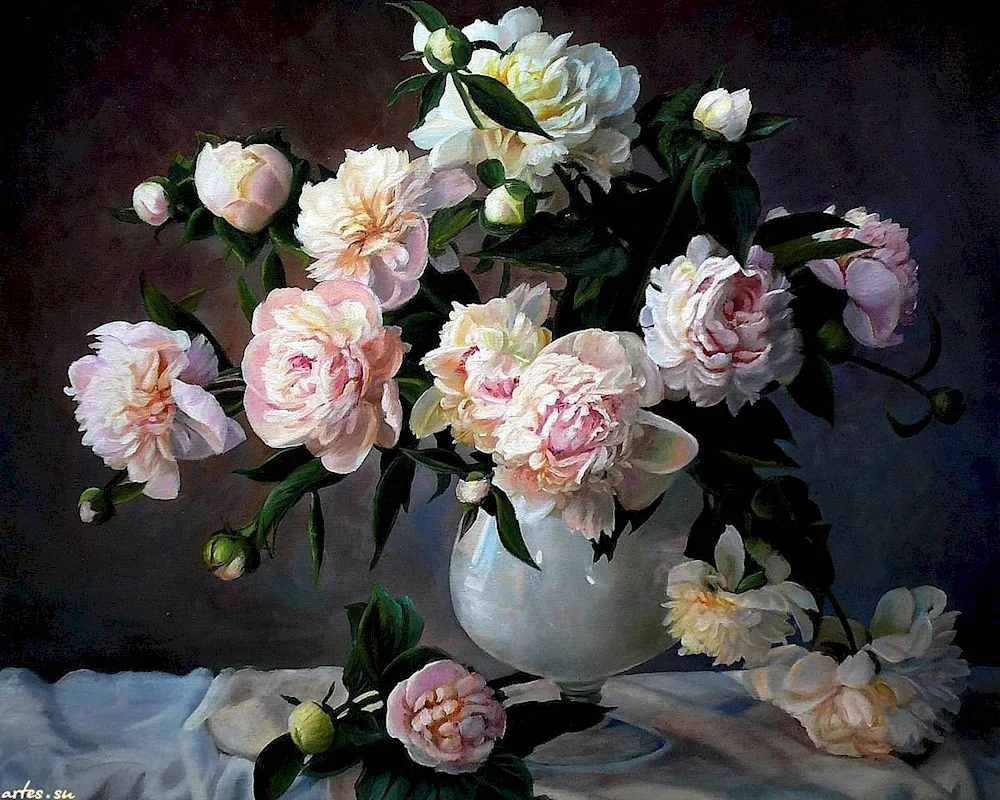 Peonies by Zbigniew Kopania