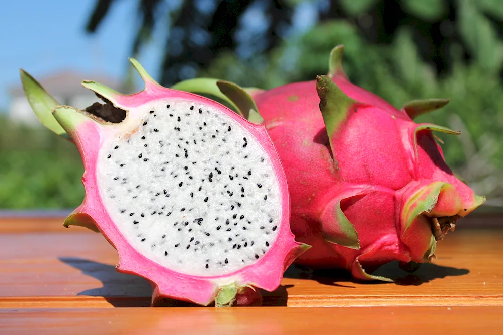 Pitahaya Dragon Fruit