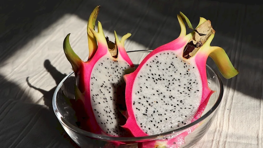 Pitahaya pitahaya