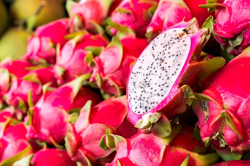 Pitahaya Dragon Fruit