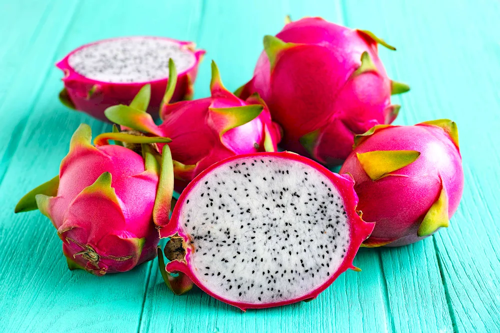 Pitahaya. DragonfruitPitahaya DragonfruitPitahaya DragonfruitPitahaya DragonfruitPitahaya DragonfruitPitahaya DragonfruitPitahaya DragonfruitPitahaya DragonfruitPitahaya DragonfruitPitahaya DragonfruitPitahaya DragonfruitPitahaya DragonfruitPitahaya DragonfruitPitahaya DragonfruitPitahaya DragonfruitPitahaya DragonfruitPitahaya DragonfruitPitahaya DragonfruitPitahaya DragonfruitPitahaya DragonfruitPitahaya DragonfruitPitahaya DragonfruitPitahaya FruitPitahayaPitahayaPitahayaPitahayaPitahayaPitahaya Dragon FruitPitahayaPitahayaPitahayaPitahayaPitahayaPitahayaPitahayaPitahayaPitahayaPitahayaPitahayaPitahayaPitahayaPitahayaPitahayaPitahayaPitahayaPitahayaPitahayaPitahayaPitahayaPitahayaPitahayaPitahayaPitahayaPitahayaPitahayaPitahayaPitahayaPitahayaPitahayaPitahayaPitahayaPitahayaPitahaya Fruit