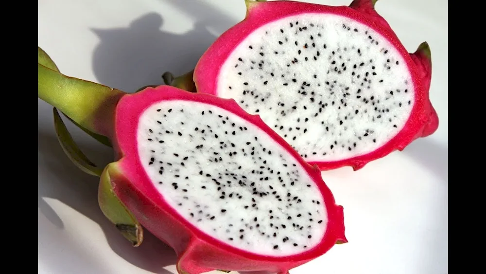 Pitahaya Dragon Fruit