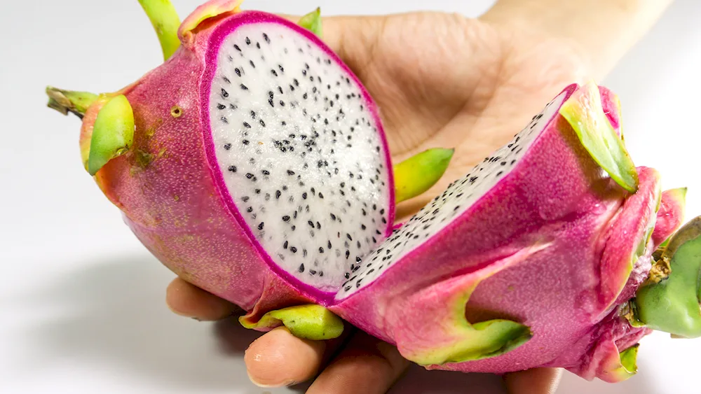 Pitahaya dragonfruit