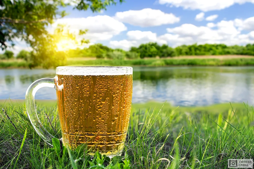 Brewed beer