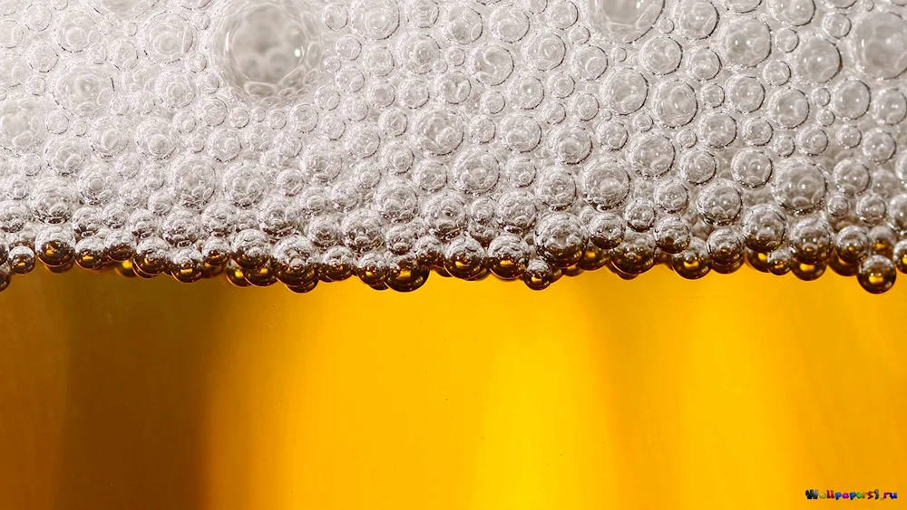 Bottled Carlsberg beer