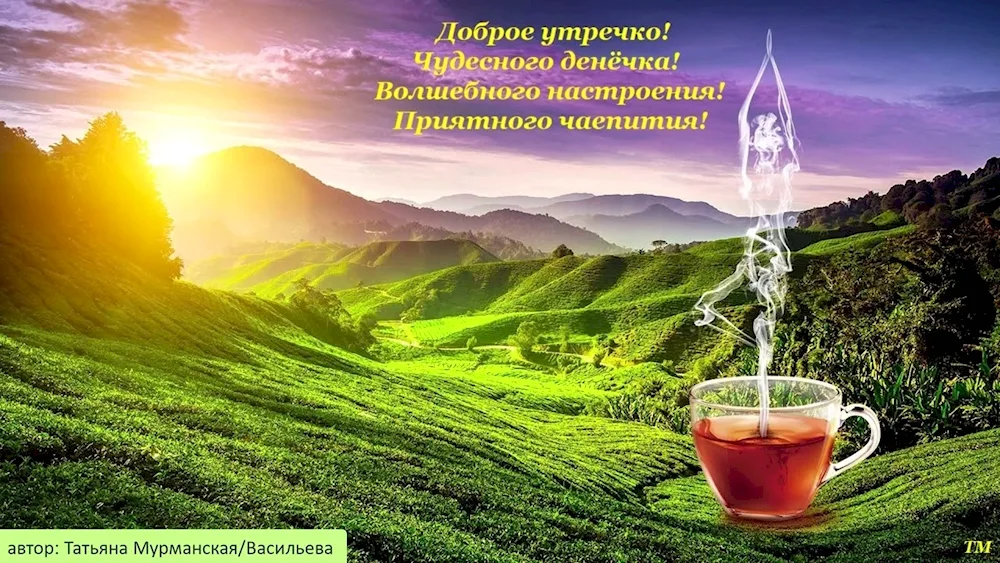 Tea in a teapot
