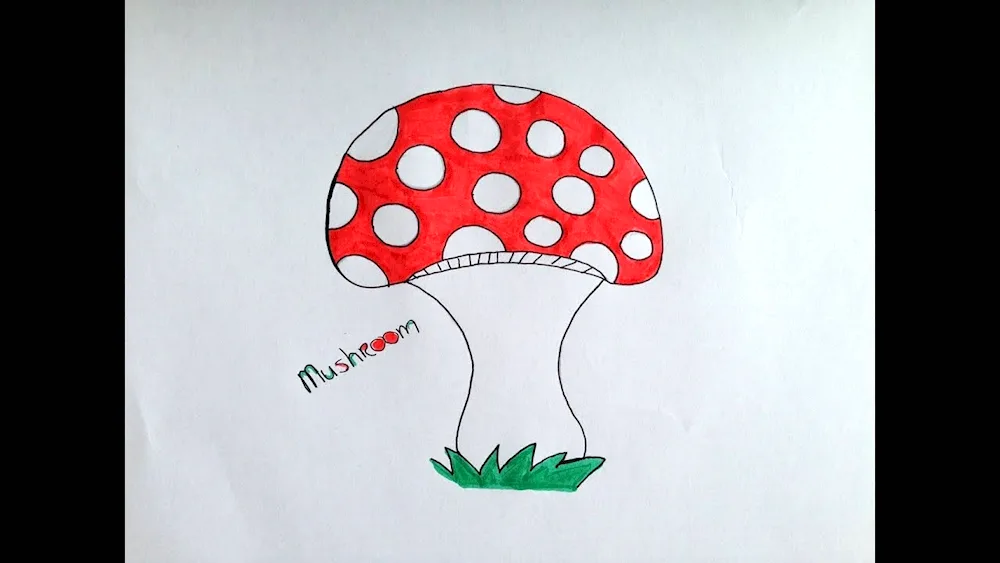 Mushroom drawing