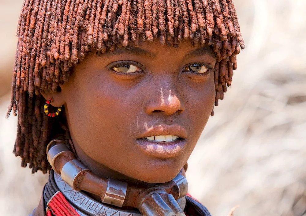 Hamer tribe of Ethiopia