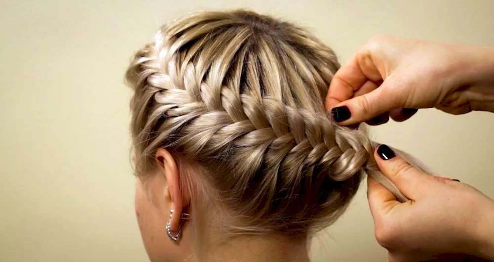 Braid Hairstyles Around Head