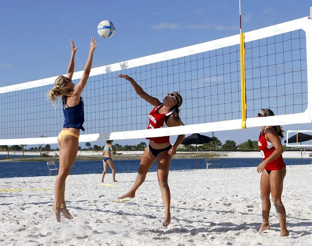 Barbara Demick volleyball player