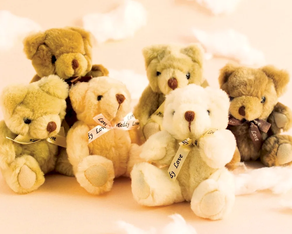 Romantic teddy bear