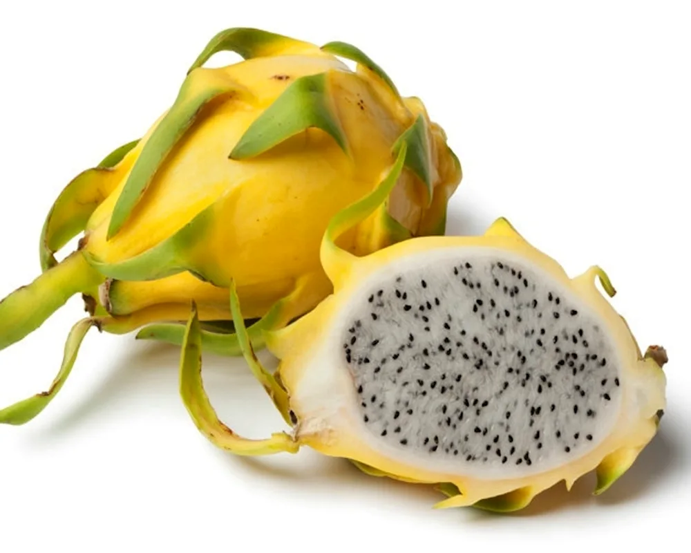 Pitahaya dragon fruit