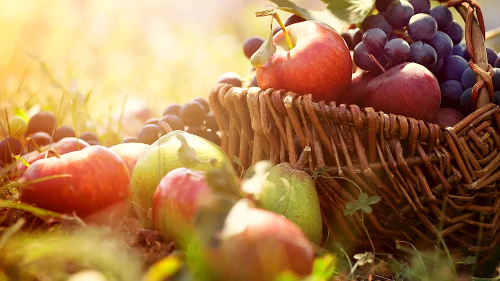 Autumn vegetables