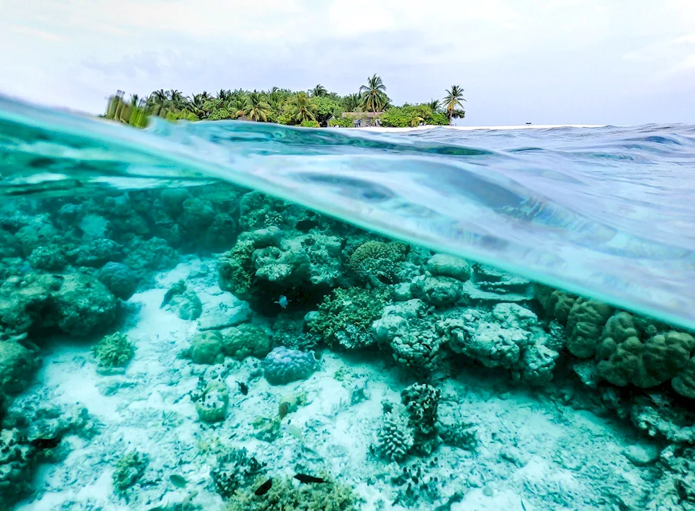 Oceans. Depth
