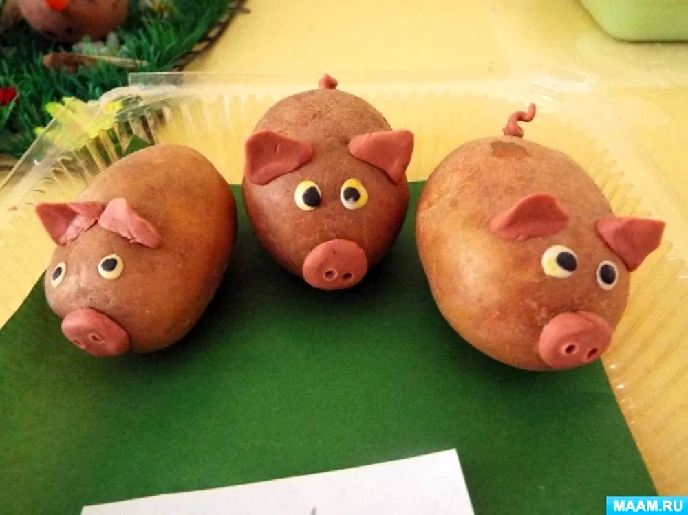 Carrot crafts