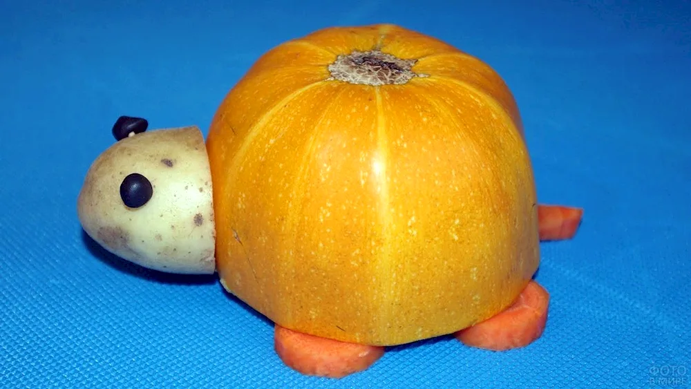 Vegetable crafts