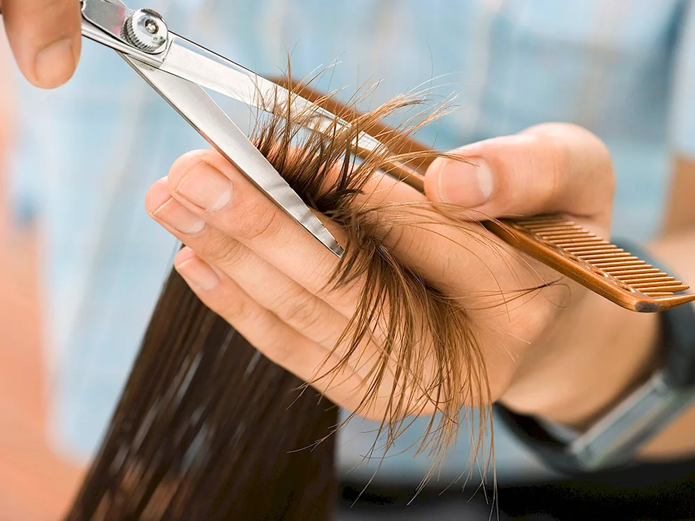 Hair cutting