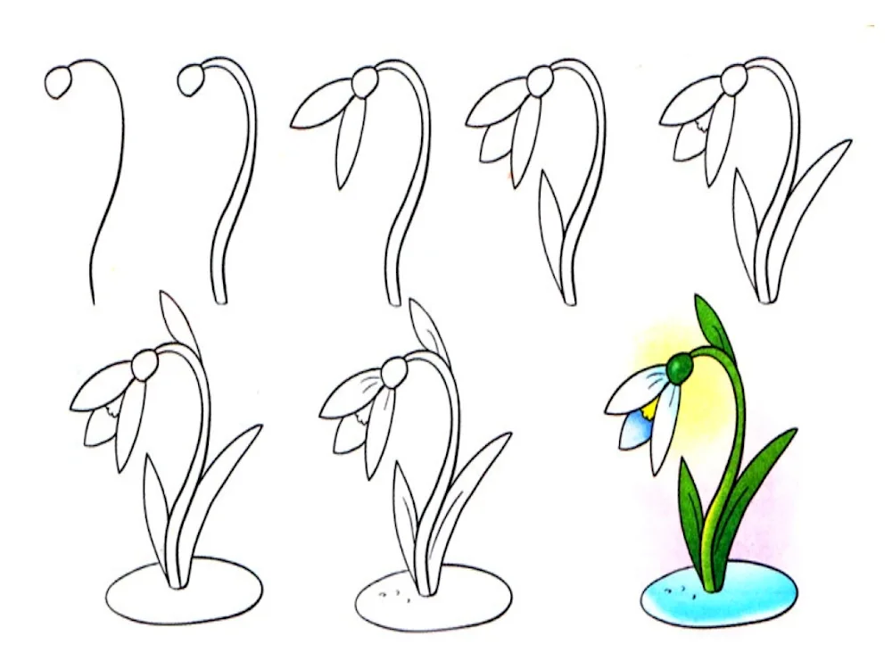 Flowers drawing