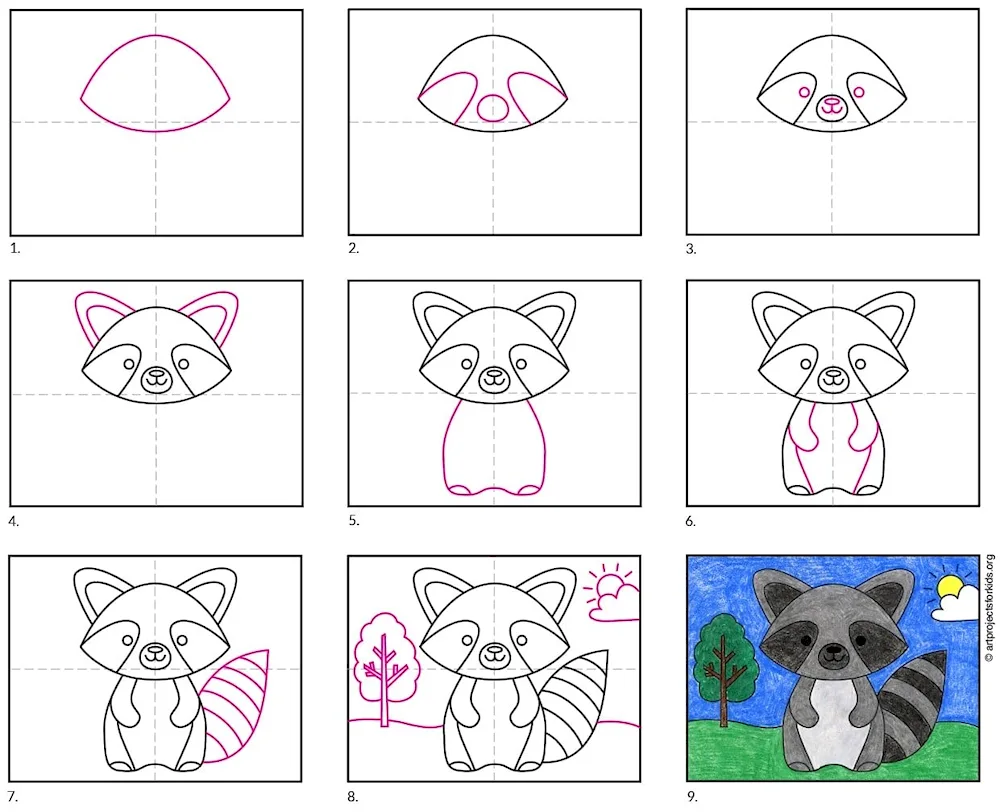 Raccoon pencil drawing for kids