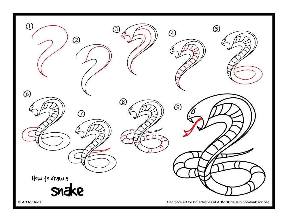 Snake drawing