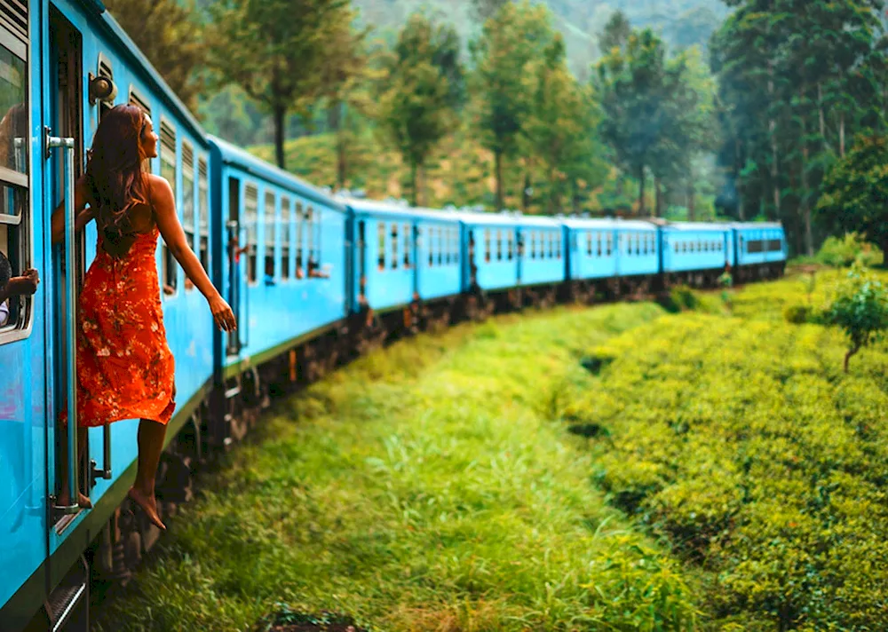 Sri Lanka's Ella Train