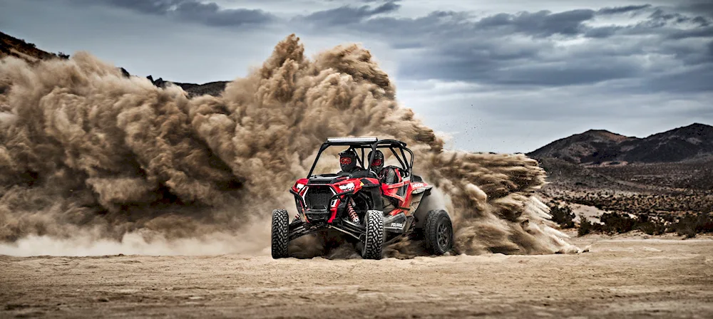 Rally raid buggy