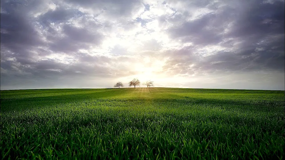 The seskrai steppe of Kazakhstan