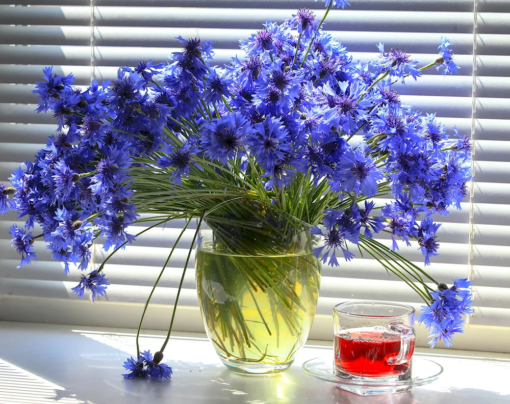 Bouquet of daisies