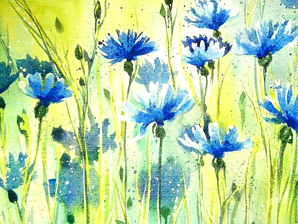 Flowers in watercolour by Wendy Tate