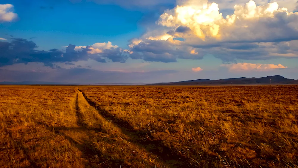 Fields and steppes of Russia