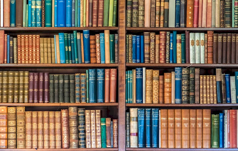 Library of Japan. Bookshelves for books