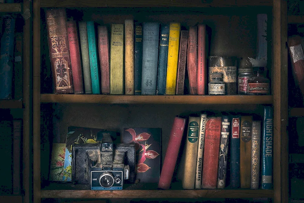 Library background with books