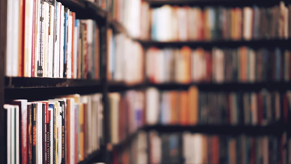 Book shelves