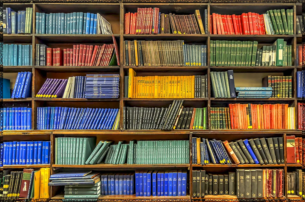 Shelves for books