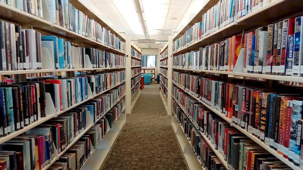 Shelves for books