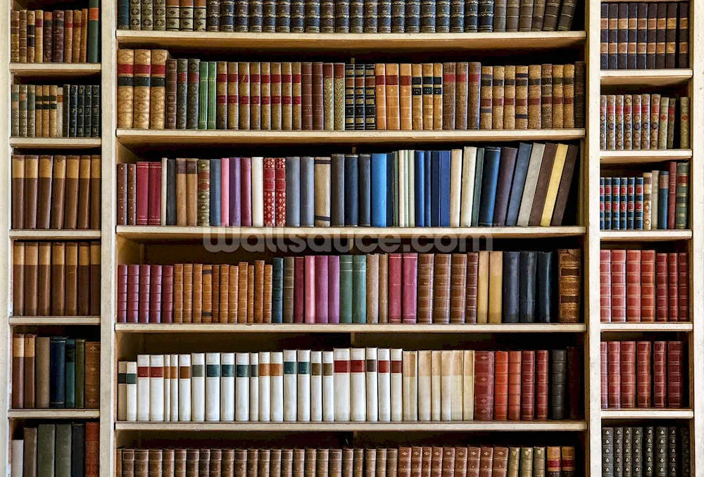 Shelves for books books