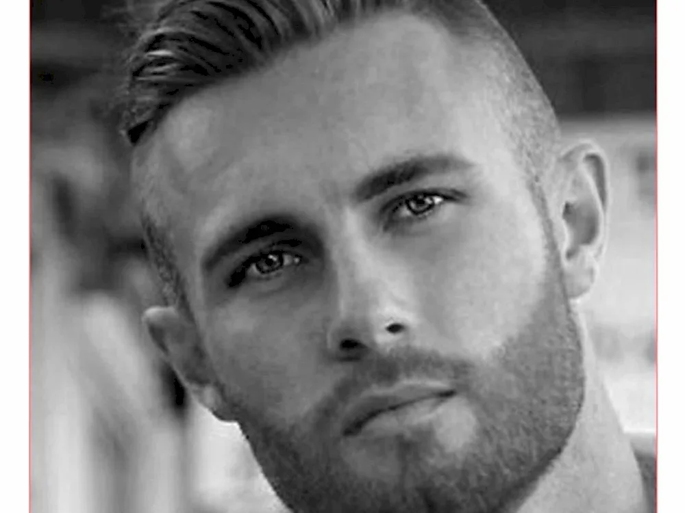 Half box with beard