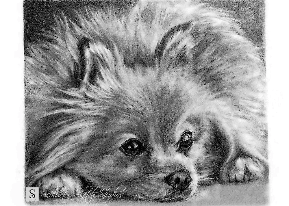 Sticker - dog. doggy