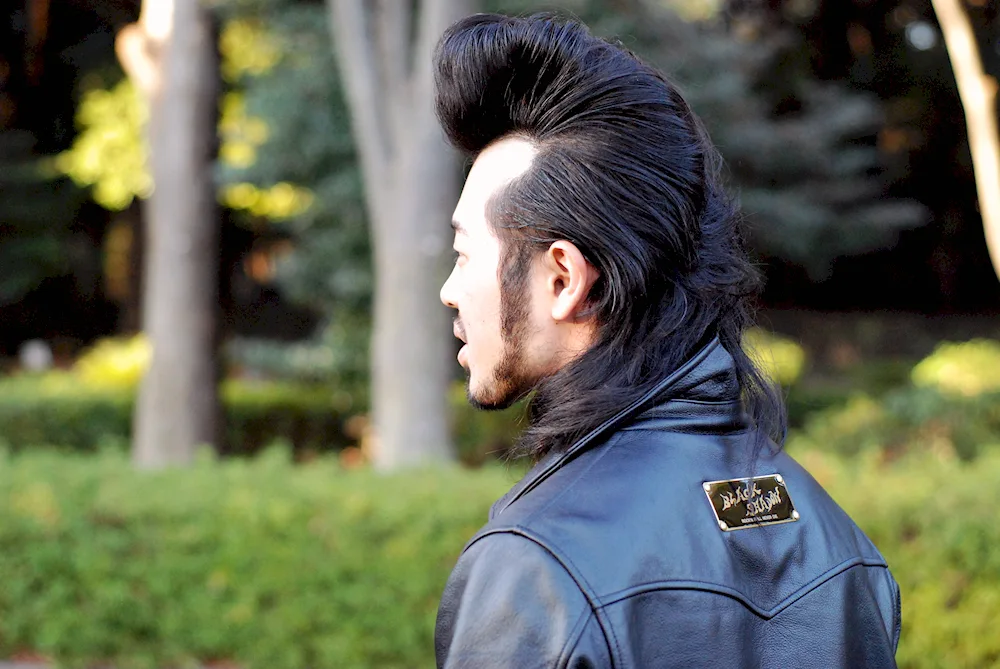 Pompadour Yankee