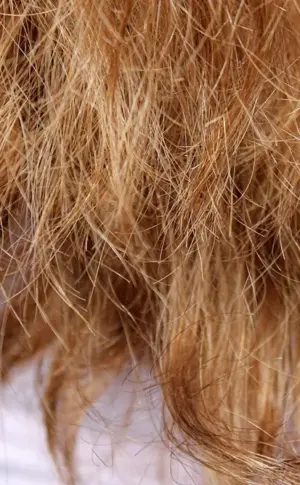 Porous hair
