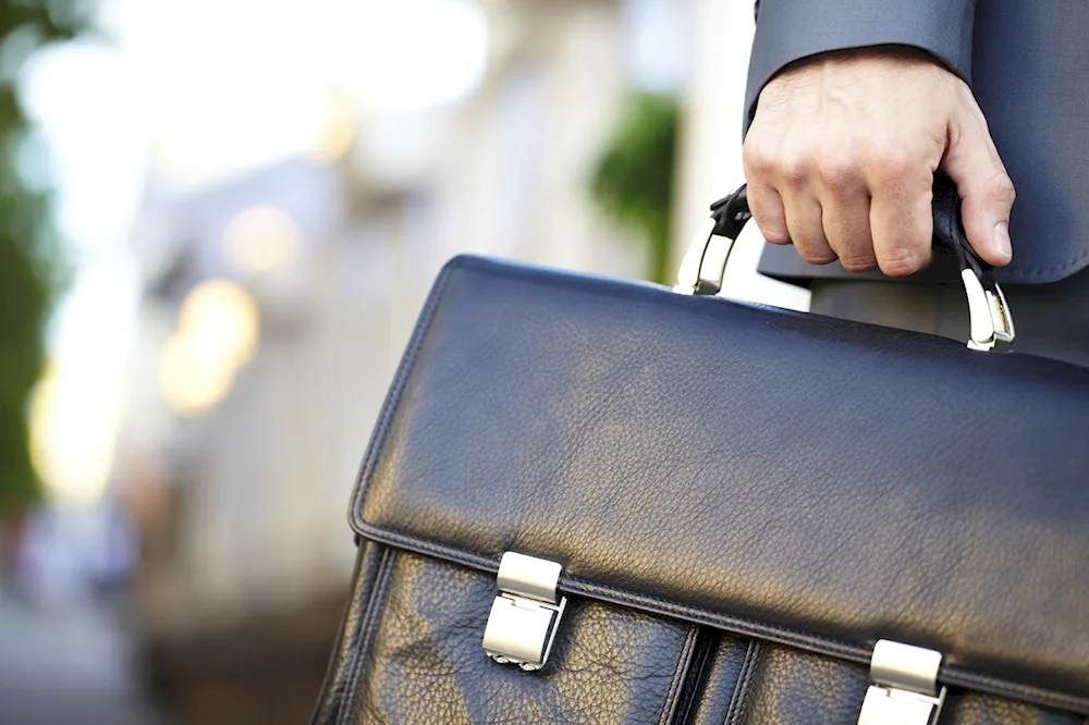 Parliamentary briefcase