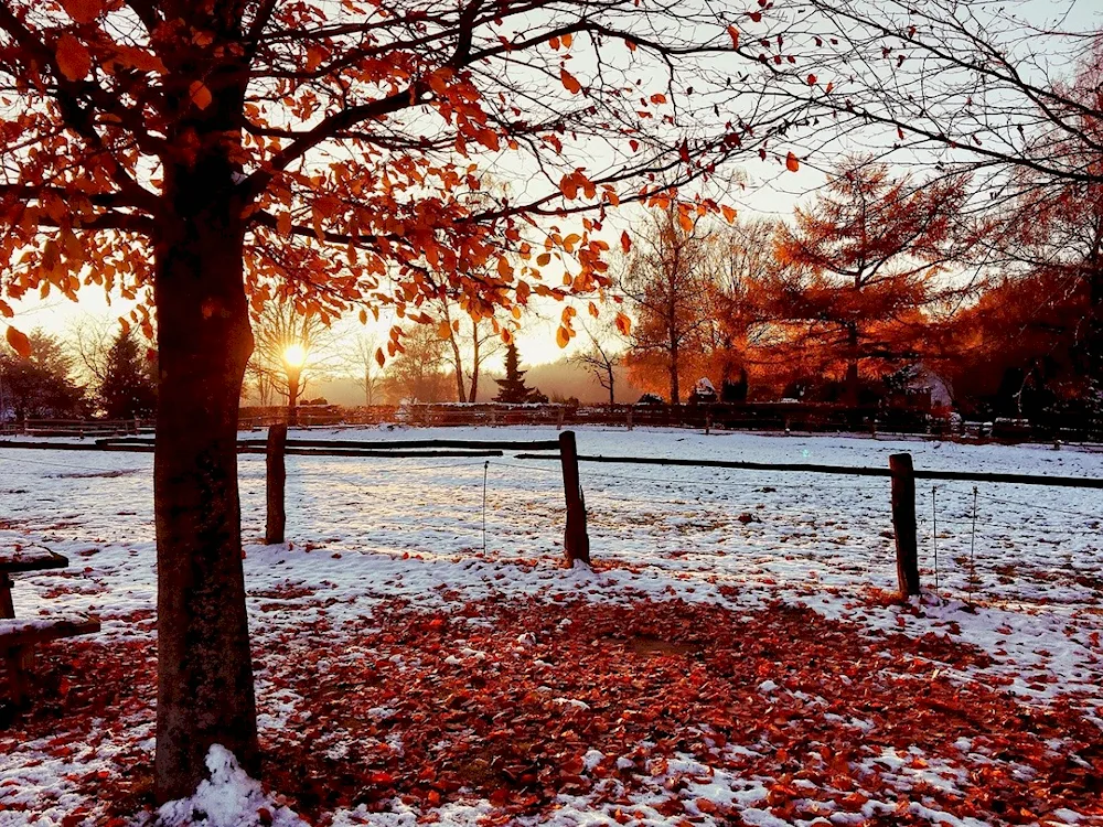 Late autumn