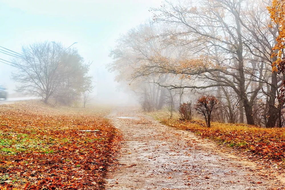 Ostafyevo late autumn