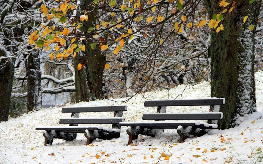 Early winter