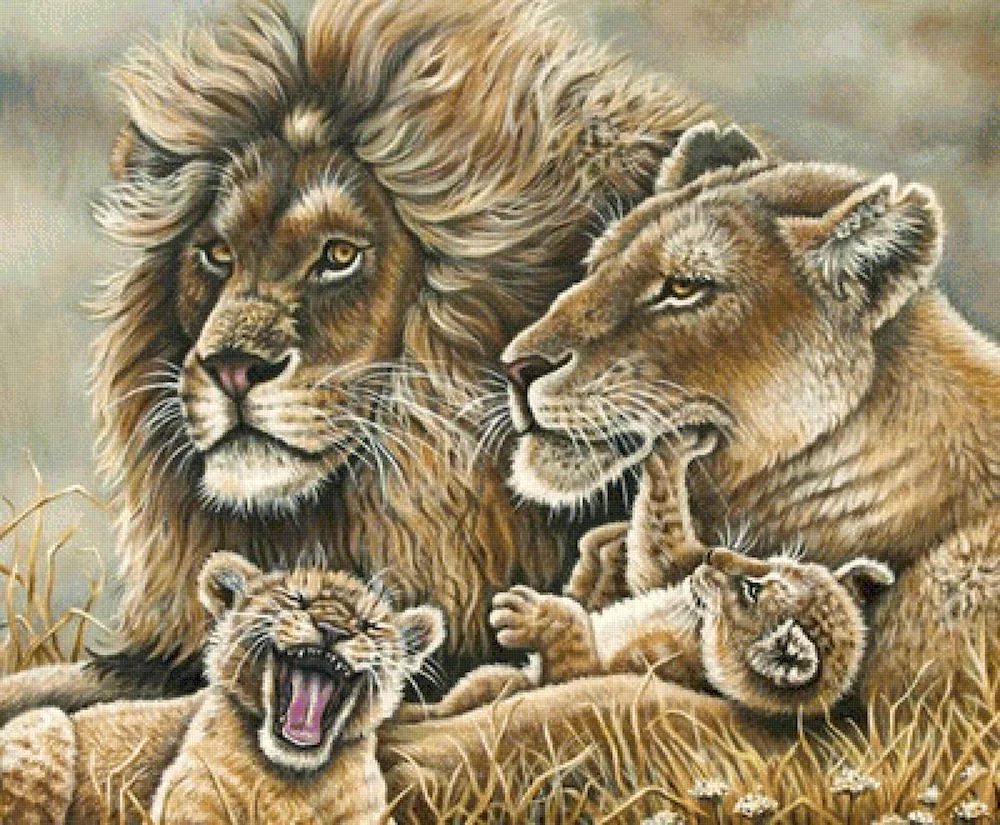 Pride Lion Family