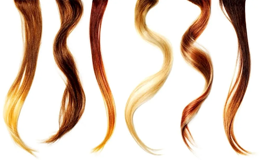Beautiful hair