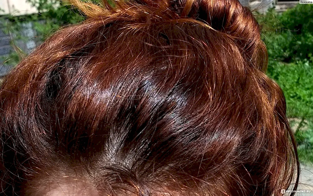 Spicy chestnut garnier